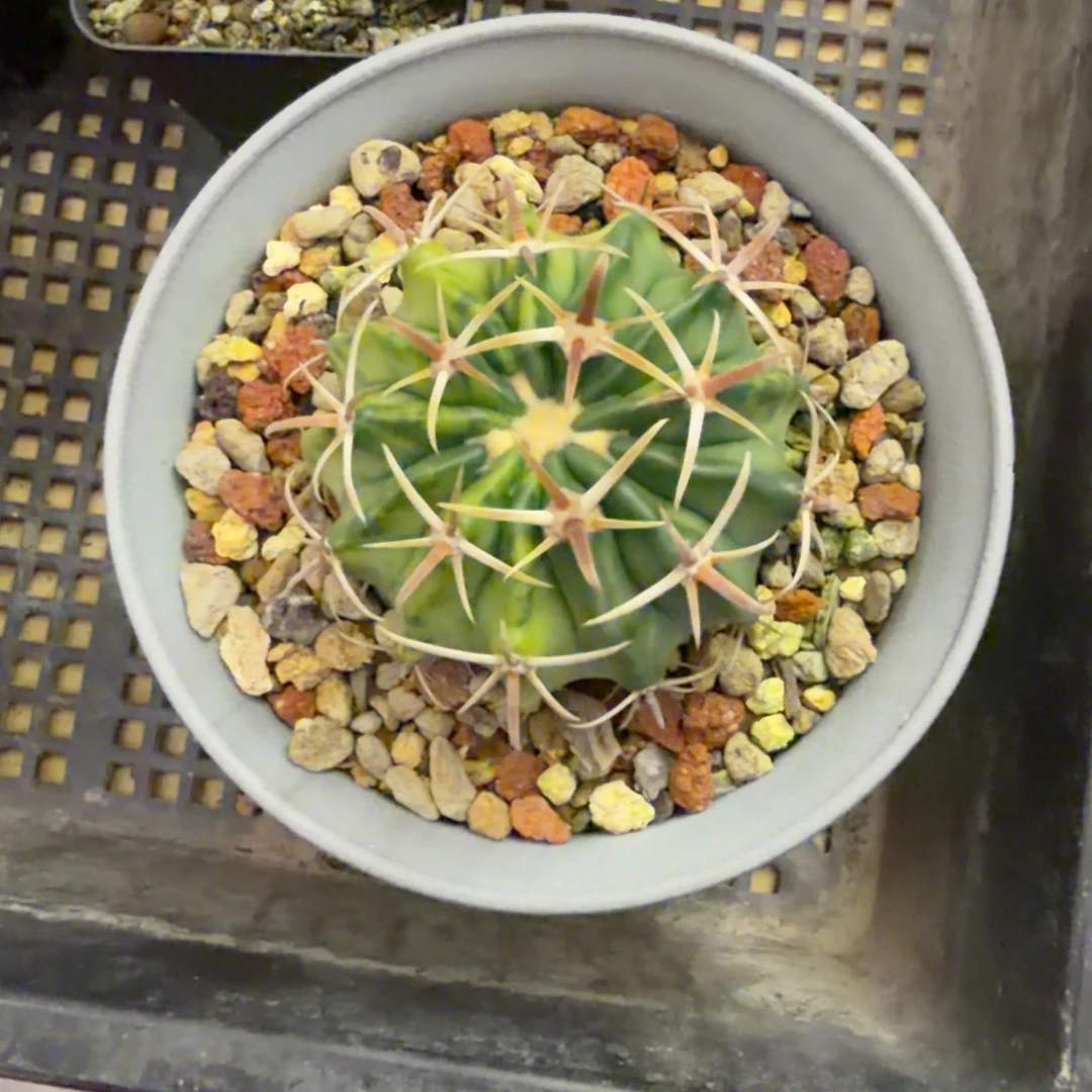 哈哈哈哈哈哈哈哈哈哈哈哈