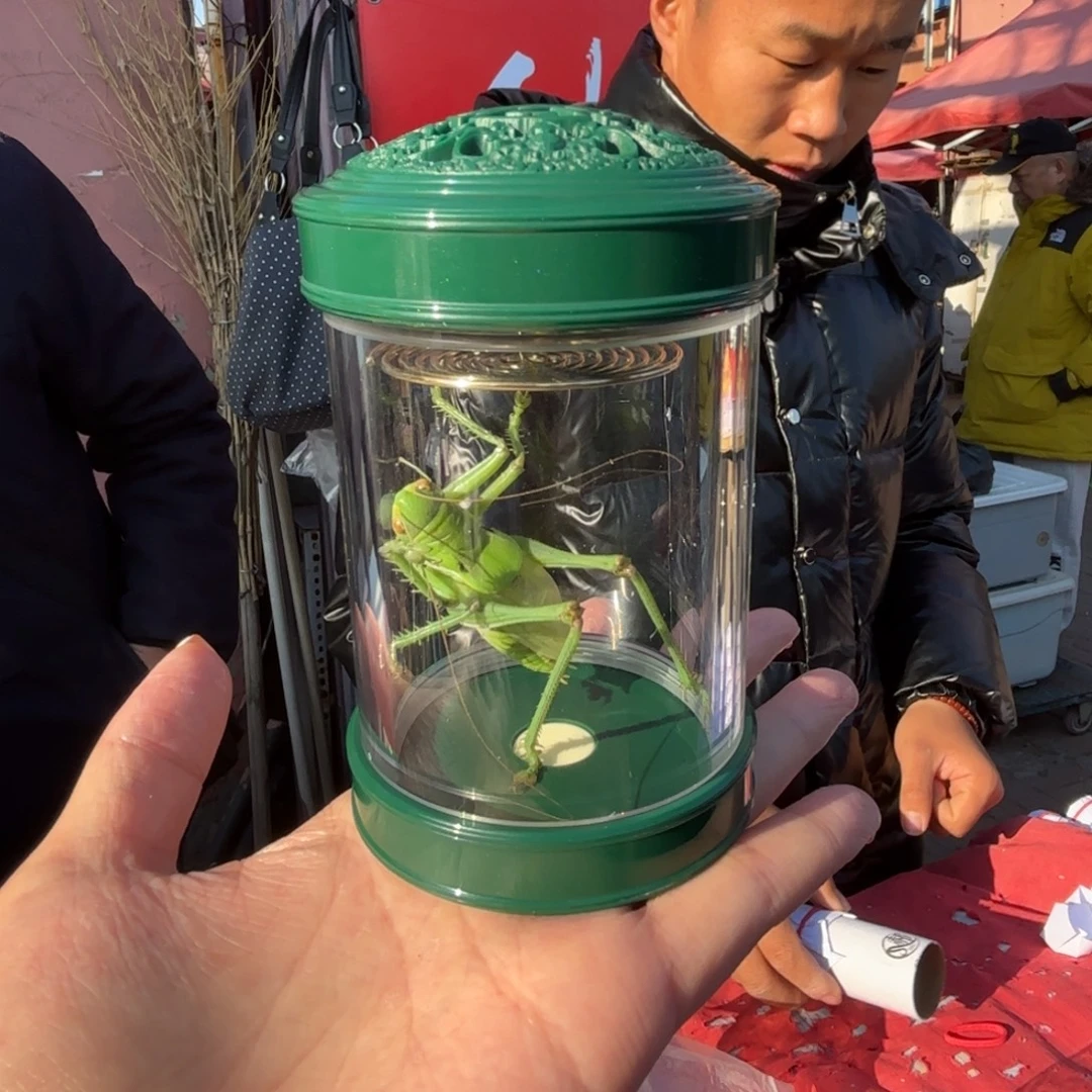 富***润蝈蝈蝈蝈福福价格