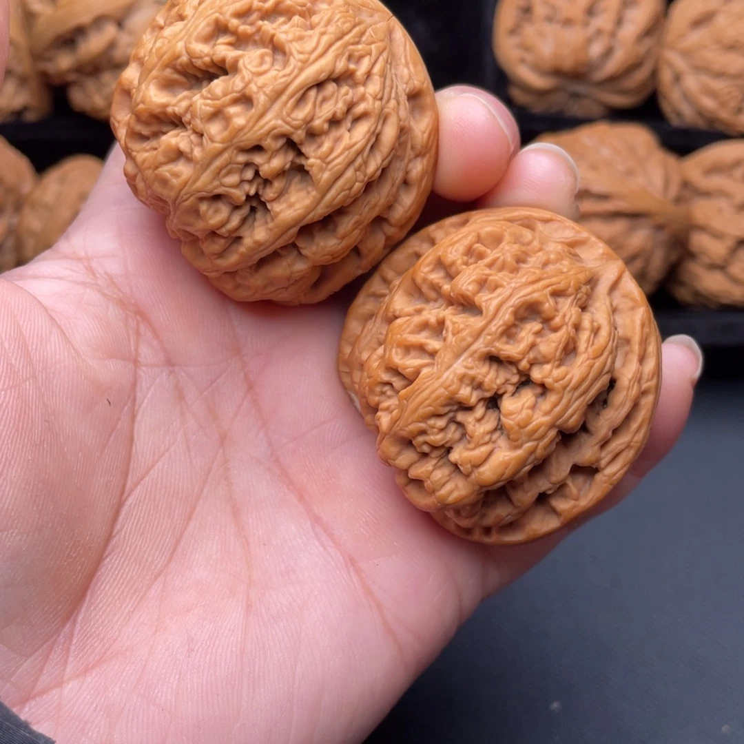 核桃秦岭核桃山地果