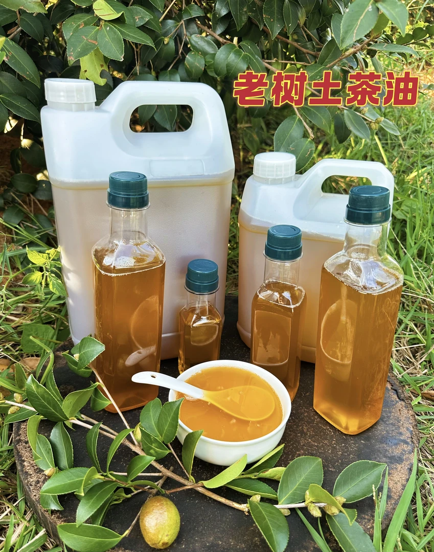 【土茶油】老树小籽山茶油茶籽油传统物理压榨头道油初榨油纯山茶油