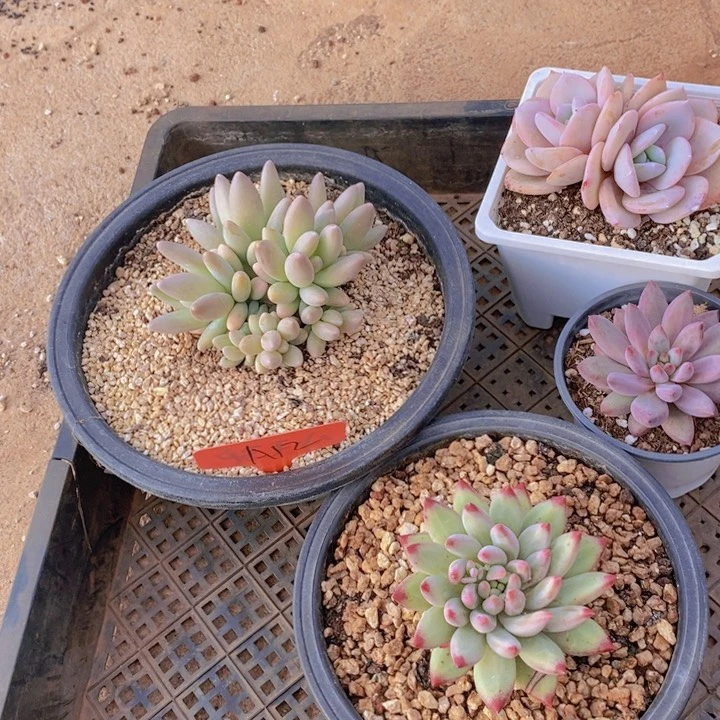 一****?你不给别人的时间都没有