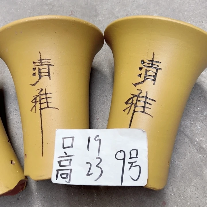 周深周深周深周深