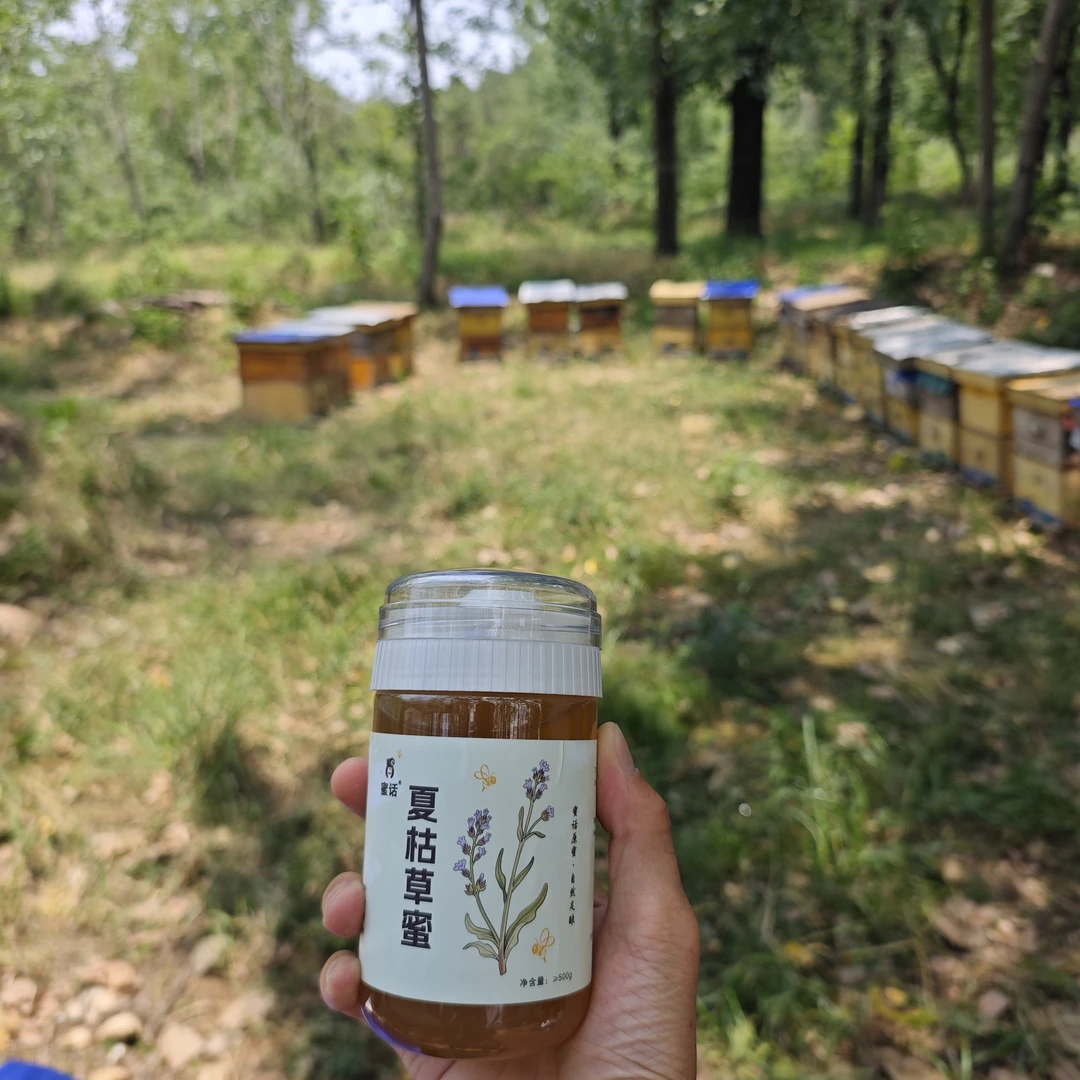 中茬夏枯草蜜 三瓶共3斤