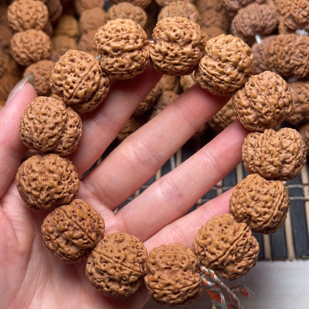 菩提12号金刚菩提安娜蜂王22