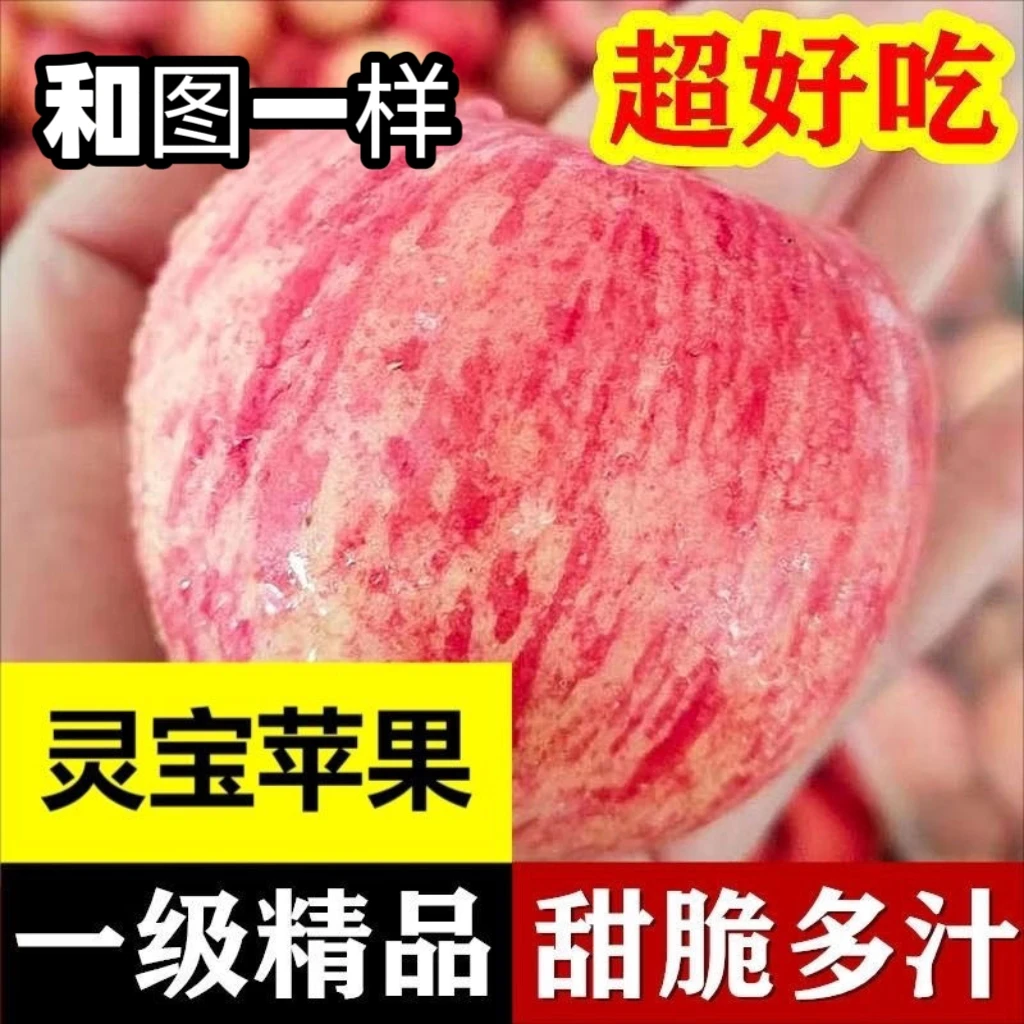 【灵宝苹果】寺河山红富士冰糖心红富士苹果新鲜水果糖心苹果