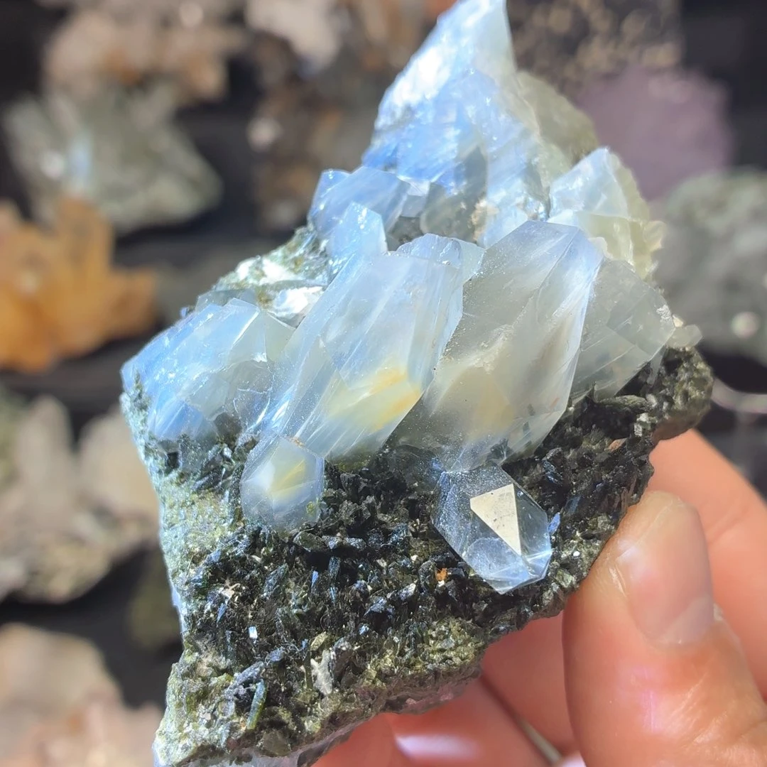 石材黄兔毛绿兔毛绿帘碧喜大共生