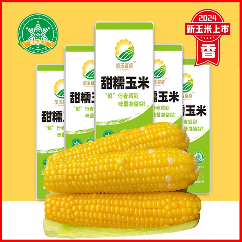 【可试吃2根】单支280-350克东北黑龙江正宗黄甜糯玉米铝箔装10支