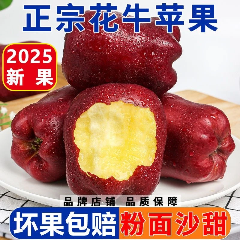 天水花牛苹果花牛苹果蛇果/平安果9/5/3斤脆粉两吃新鲜应季水果