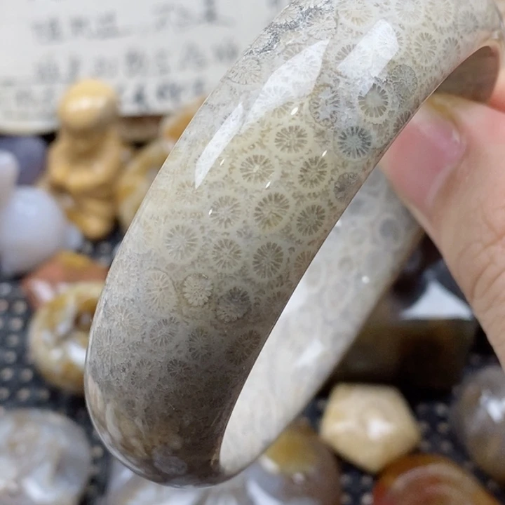 颈饰未镶嵌硅化珊瑚（珊瑚玉）有瑕 57