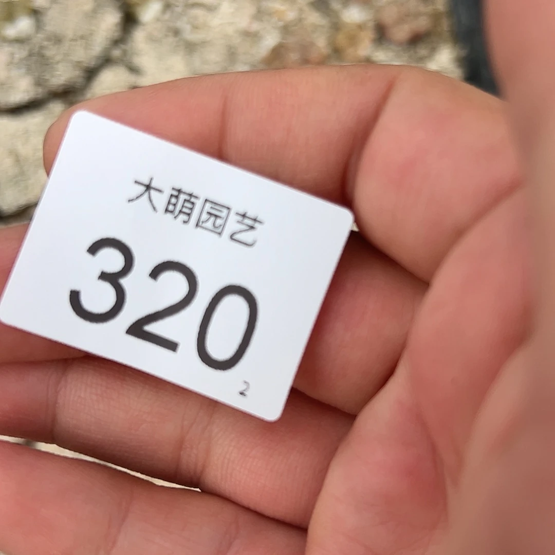 0000320 清框勋章脱土发无售后……