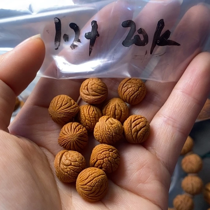 手串文玩核桃秦岭野生龙纹桃核12