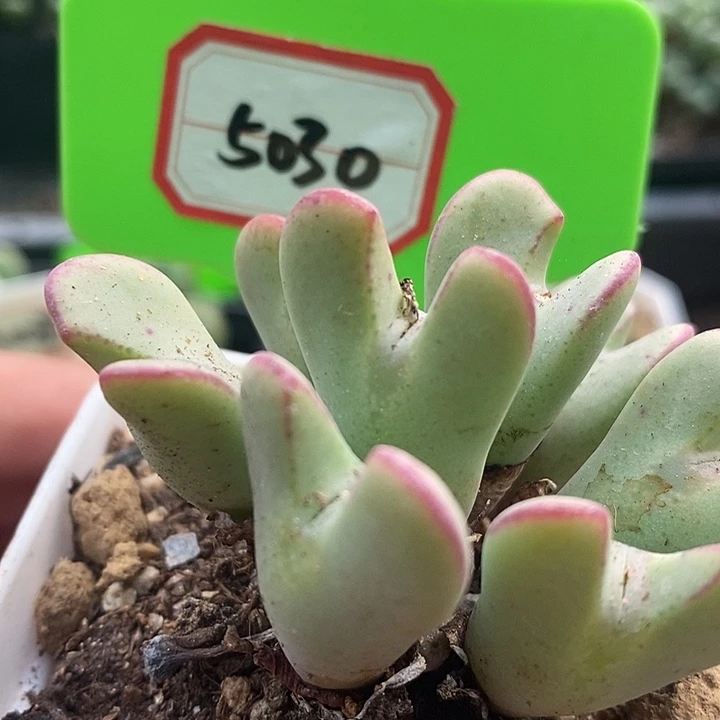 这种事不知道怎么5030