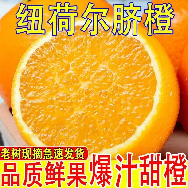 正宗湖南纽荷尔脐橙新鲜现摘鲜甜多汁无籽无渣应季水果【多仓发货】