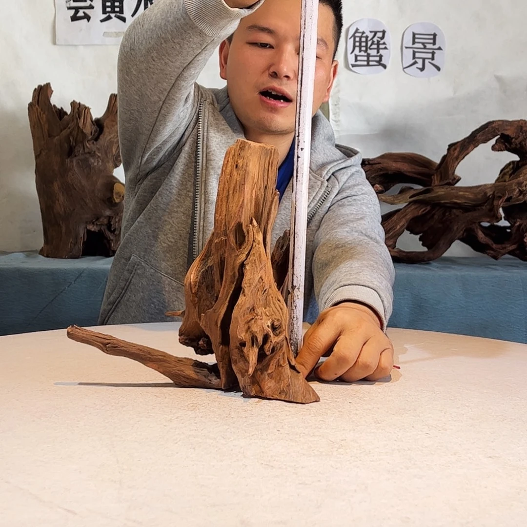 23.24.19 沉木造景爬宠造景