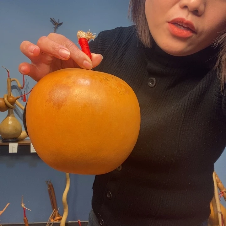 东***五这不都不叫爱情吧是什么东西了