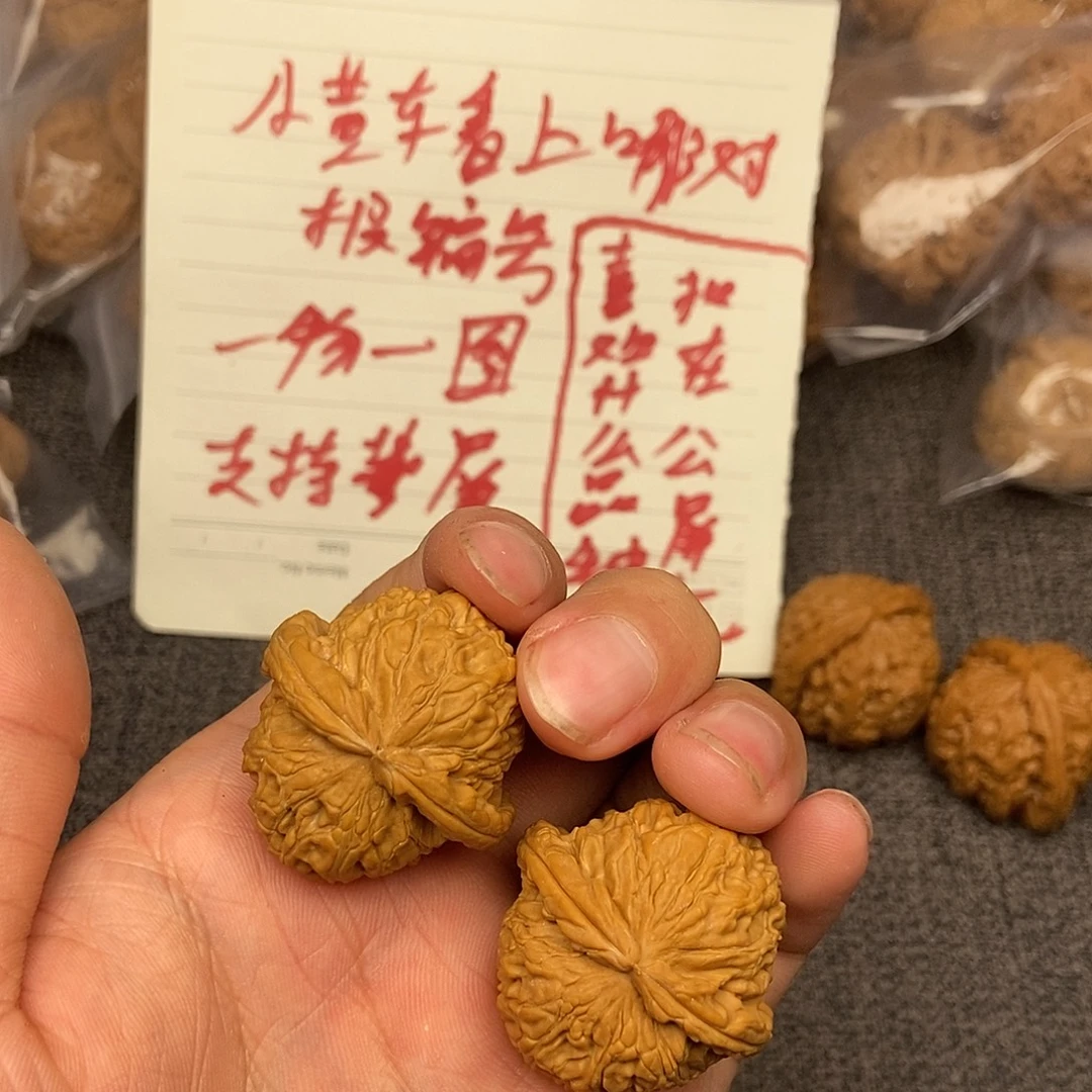 核桃白狮子33尺寸编号087