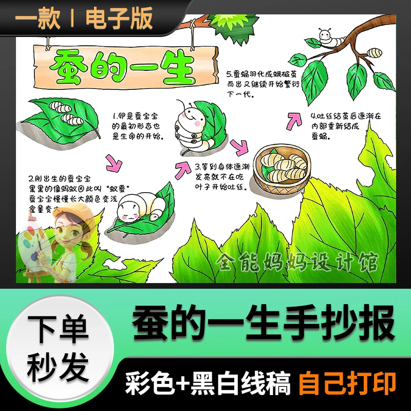蚕的一生手抄报自然笔记小学生阅读小报半成品打印黑白线稿K001