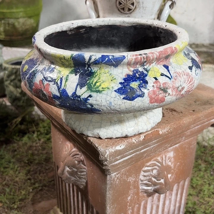 希***望许纯的花房 希望拍
