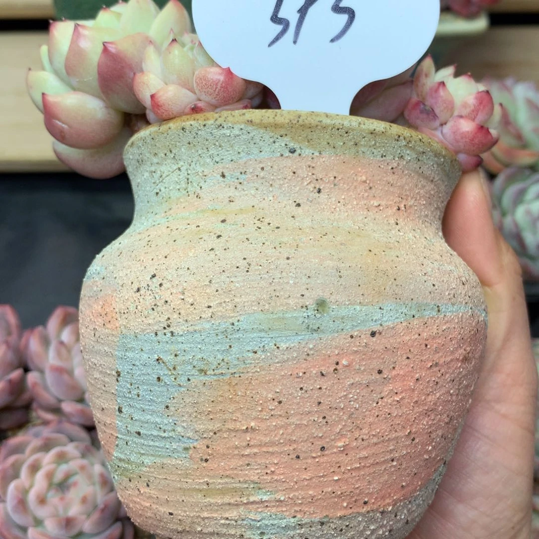 小**?福利盆专拍只有盆393