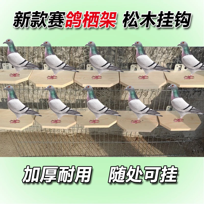 赛鸽鸽具栖息架信鸽休息用具鸽子用品挂钩不锈钢新款栖架实木