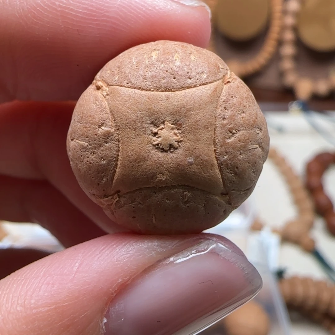 吊坠凤眼菩提19.8-15.2麒麟单颗