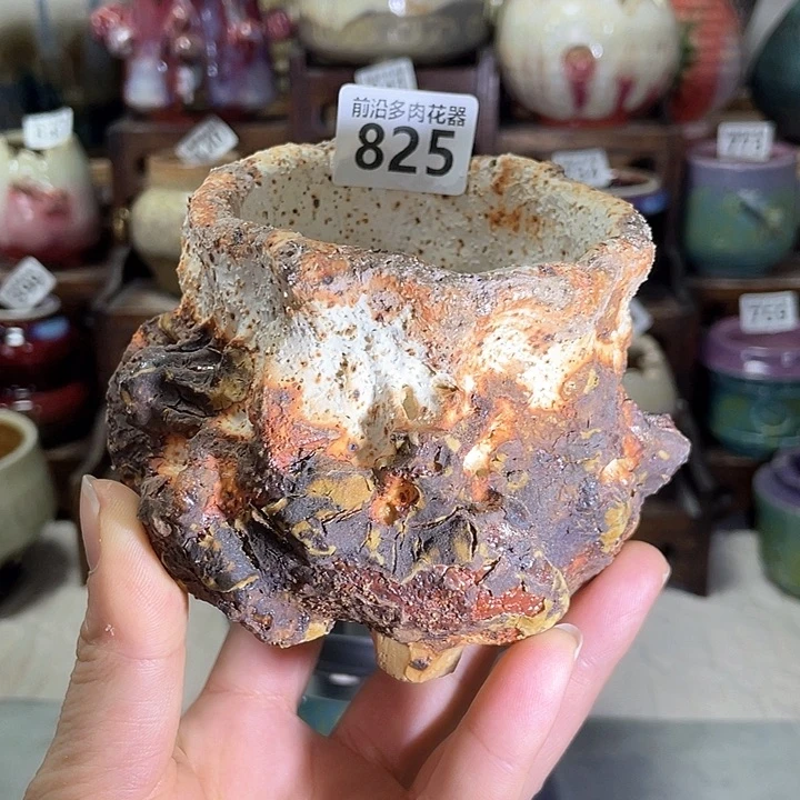 红陶内口径7高度8