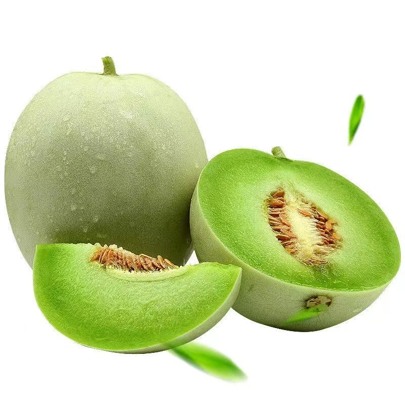 头茬山东玉菇甜瓜冰淇淋口感软糯香甜新鲜当季水果
