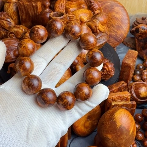 松木（琥珀木）其他