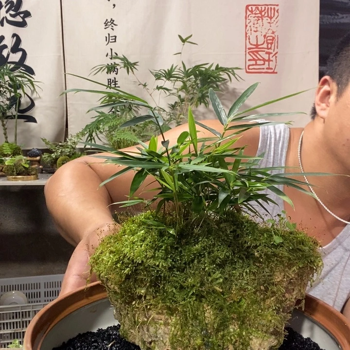 哎***呐无花朵退款拉黑拉黑86