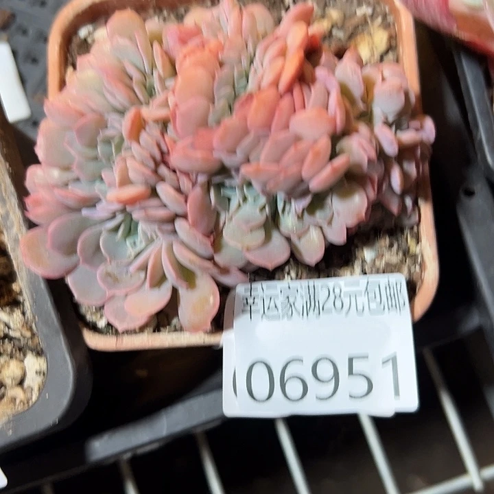 幸运的是我还没遇到过