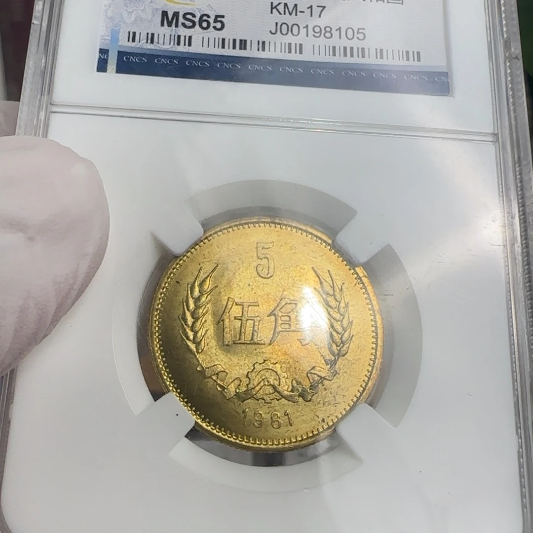 81年五角评级带包浆