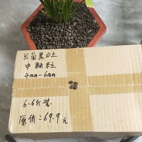 老***代兰菌黑山土中颗粒6.6