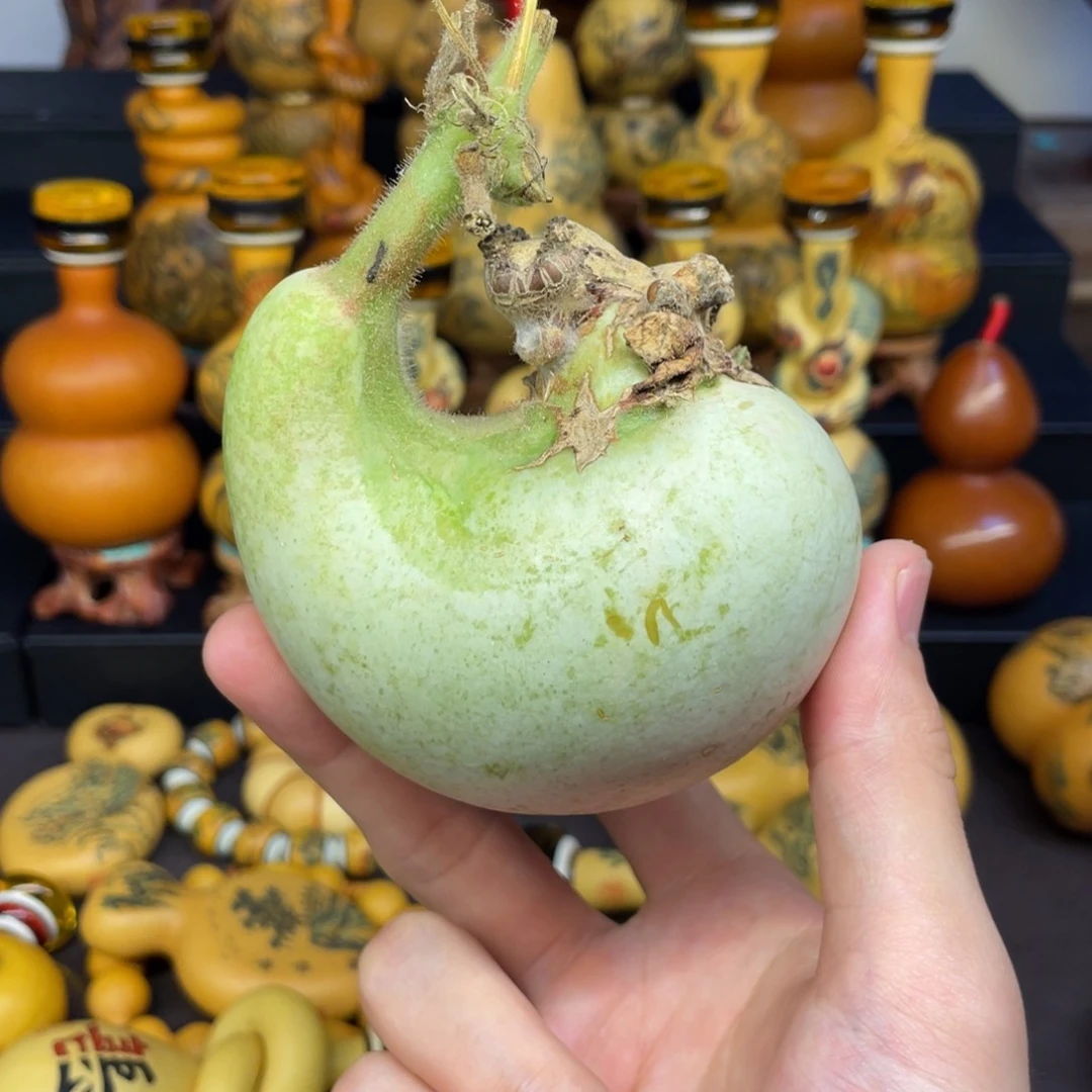 星**愿葫芦1111122222