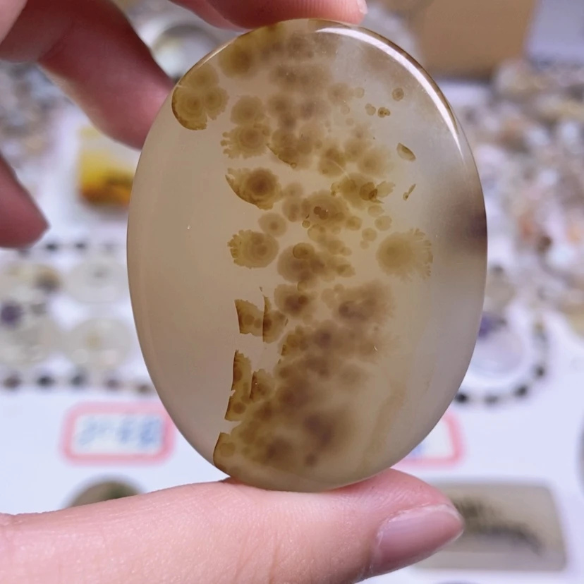 【闪购商品】玛瑙/玉髓颈饰合金