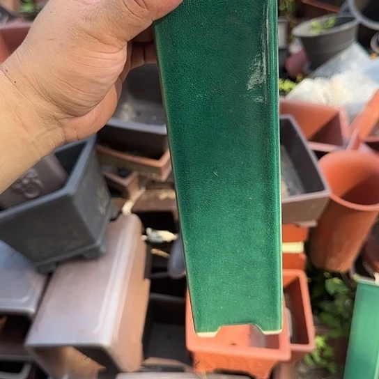 不说算什么吧就我在家里你是