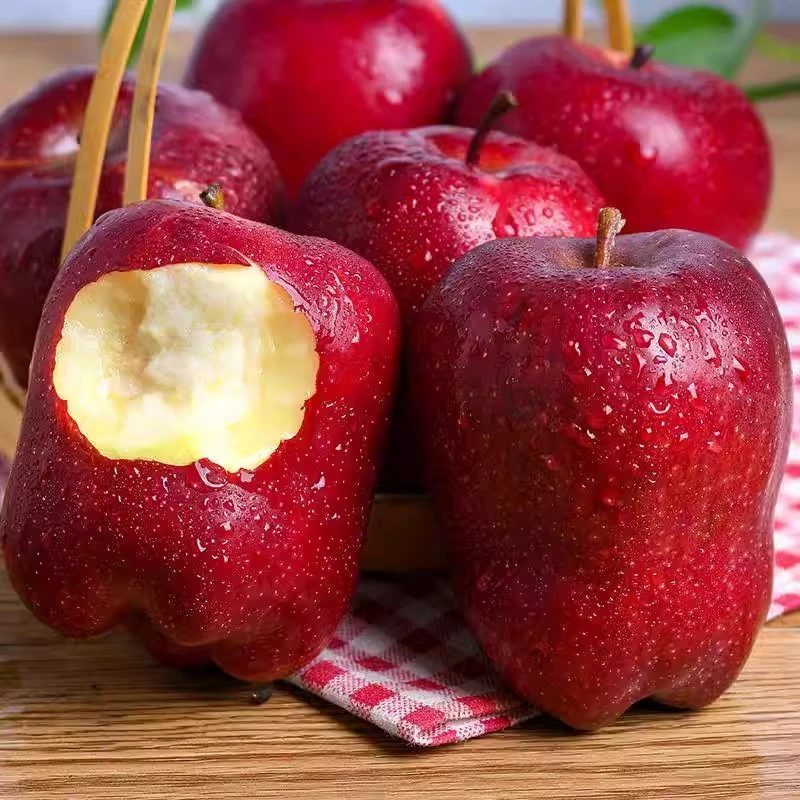 正宗甘肃天水花牛苹果粉面香甜 可口多汁 产地直发 新鲜应季水果
