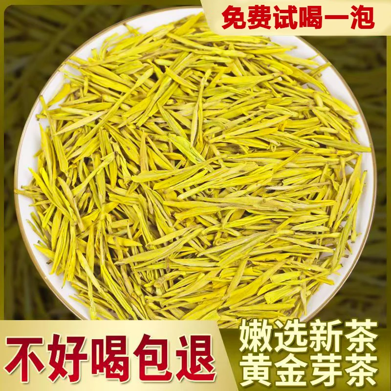 『爆款口粮黄金芽』2025新茶春茶珍稀高山嫩芽黄金芽茶浓香耐泡爆款