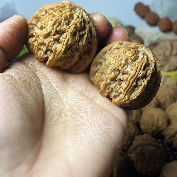 吊坠桃核舍****0老树白狮子
