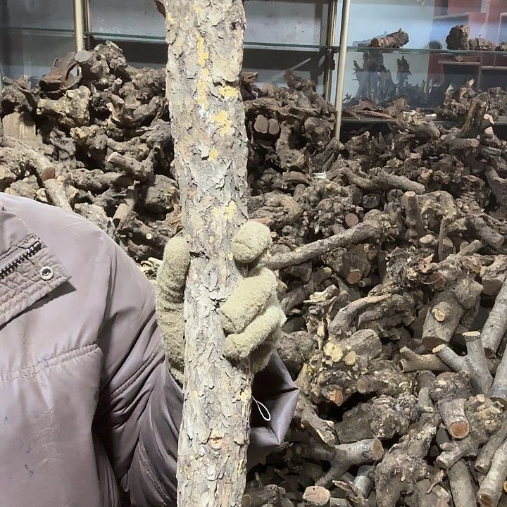 香榧木用****8火琉璃的故事毛料摆件