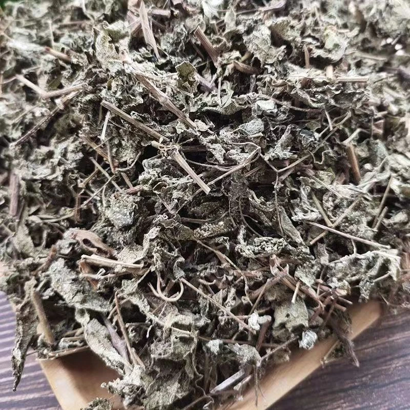 【精选】深山手工采摘野外溪黄草益肝霜500克泡水泡茶