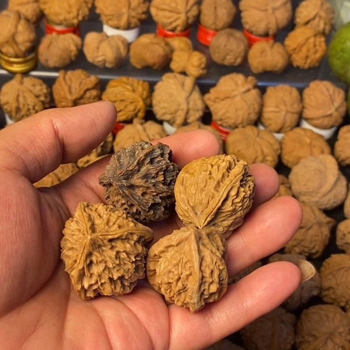 一***叁大叶紫檀（黑酸枝木类）