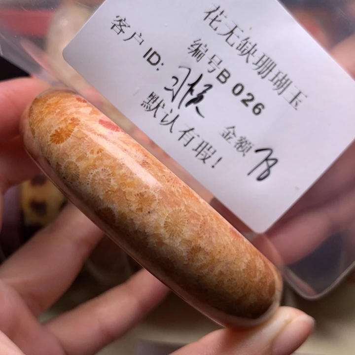 习***晓硅化玉手镯未镶嵌
