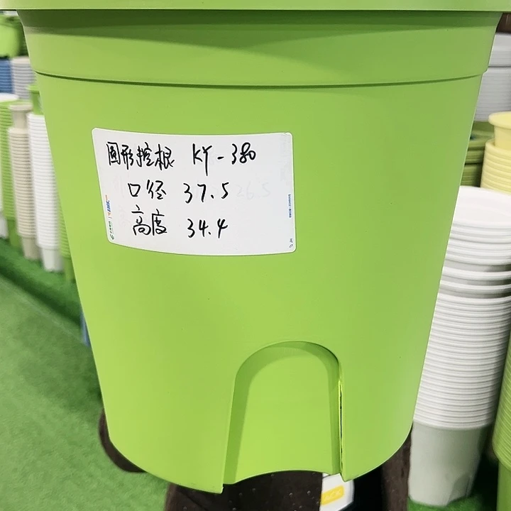 正品圆控口37.5高34果绿无托3只