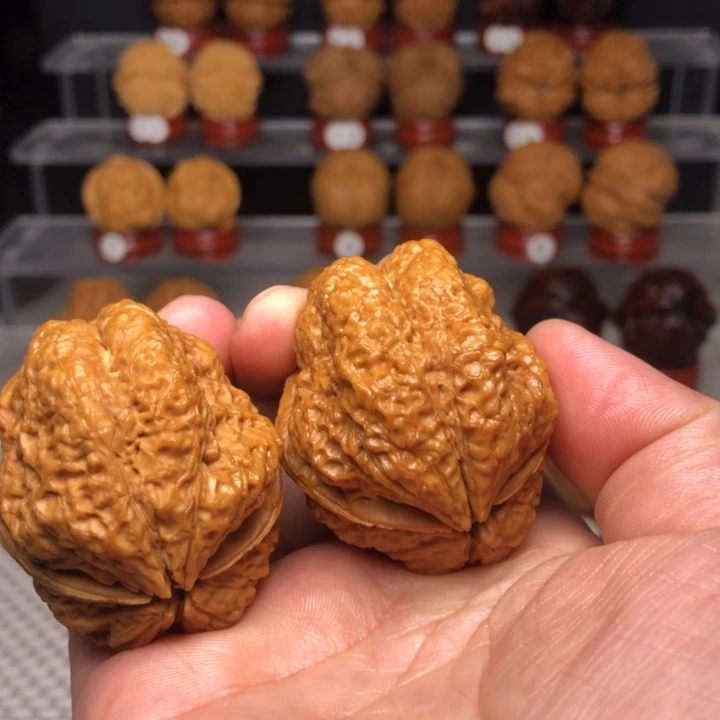 A***总把件文玩核桃505古蟾王