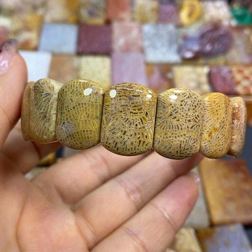 【闪购商品】硅化珊瑚（珊瑚玉）颈饰未镶嵌k 3