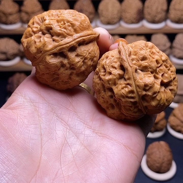 桃核吊坠卧龙金蟾45mm