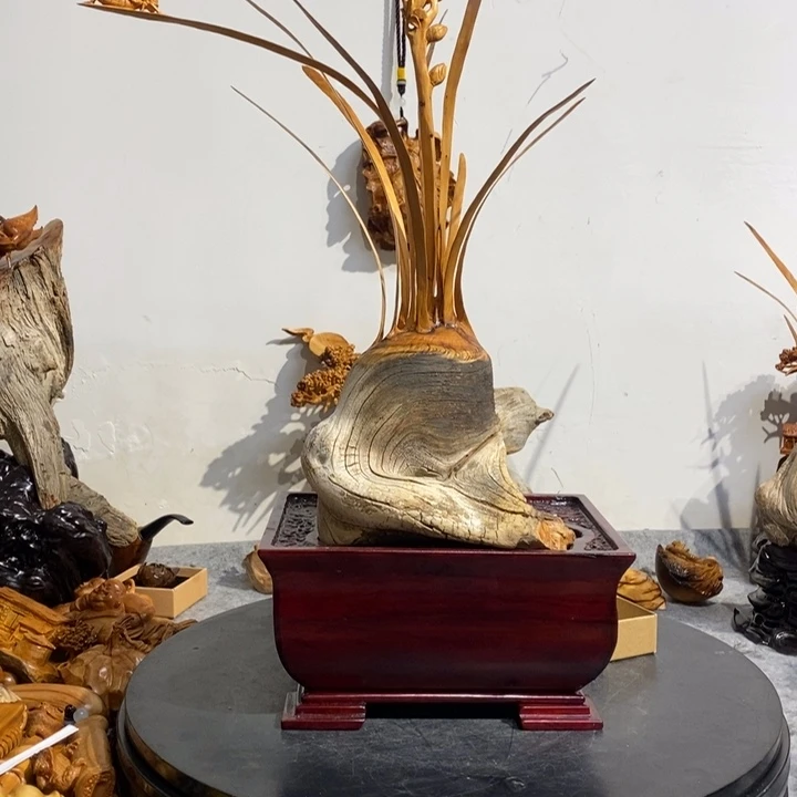 柏木“****”111111111111111