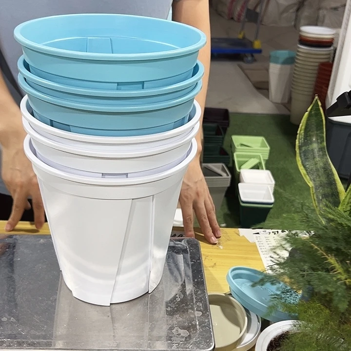 特价青山210口21高21混色无托6只