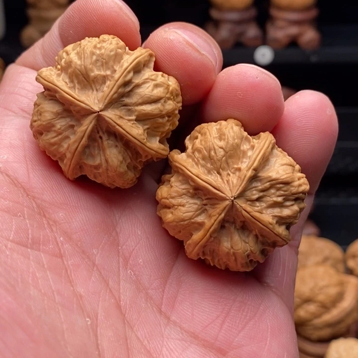 文玩核桃把件7菊花纹四棱34.5尺