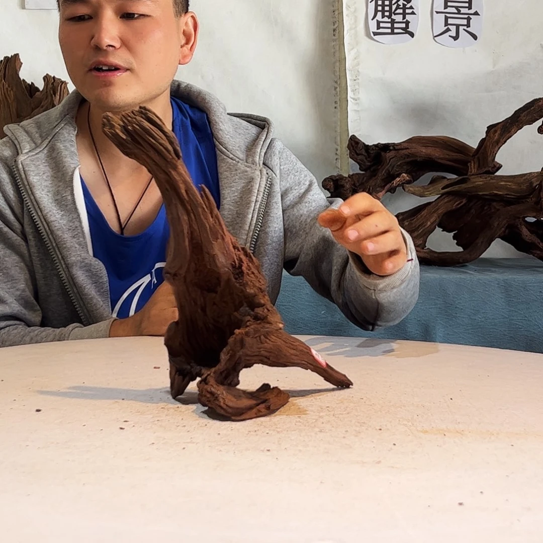 沉木造景爬宠造景